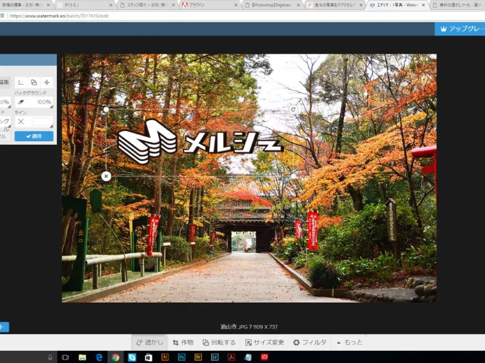 Foto con un logotipo insertado en la pantalla de edición de WATERMARK
