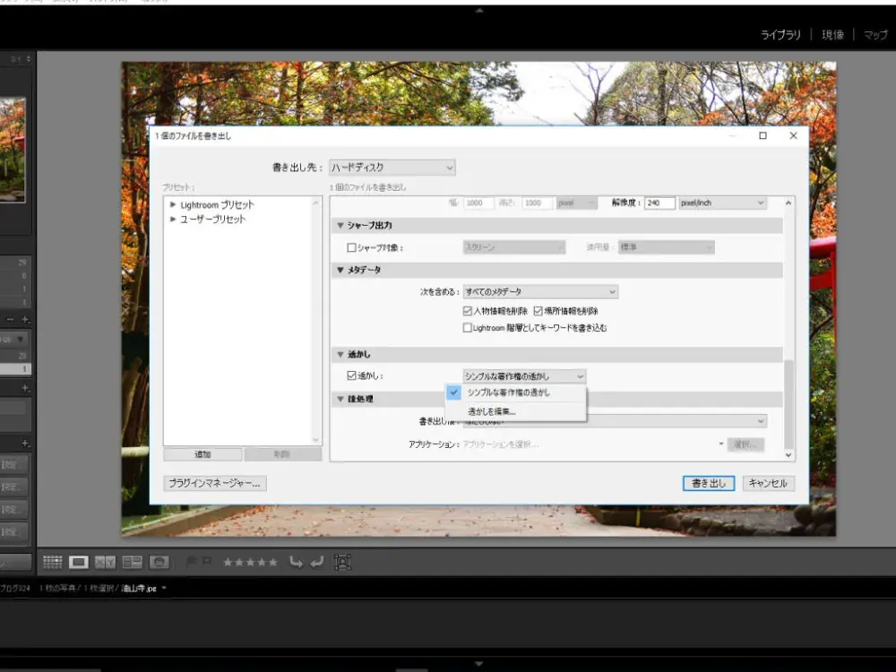 Pantalla de exportación de Lightroom
