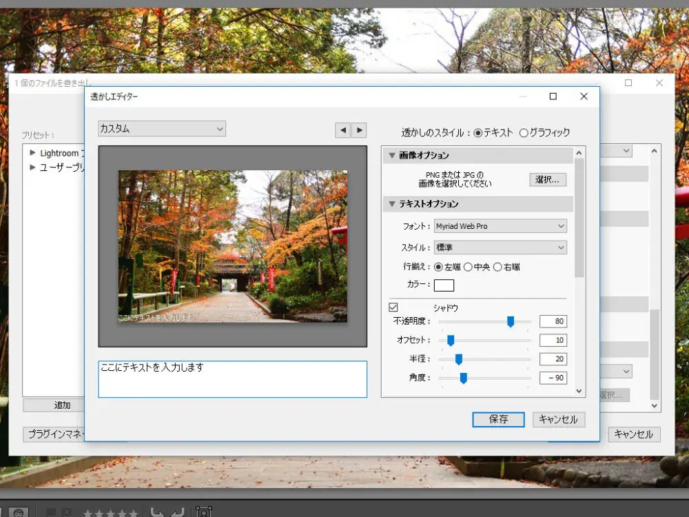 Editor de marcas de agua de Lightroom