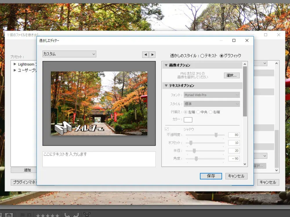 Pantalla del editor de marcas de agua de Lightroom con un logotipo seleccionado